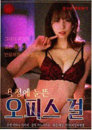 无光地下室 封面